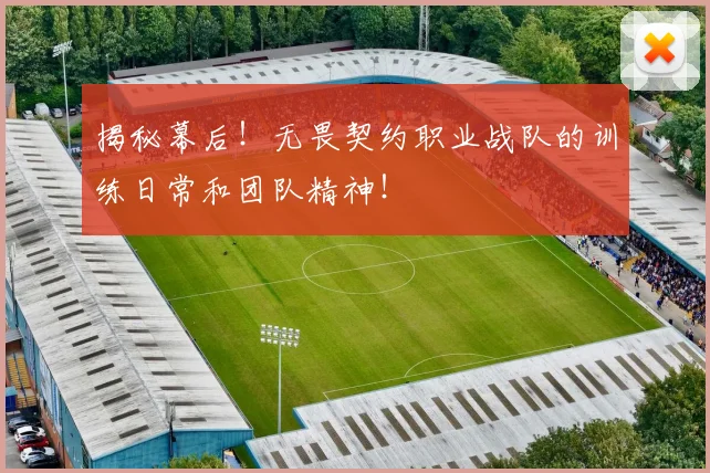 揭秘幕后！无畏契约职业战队的训练日常和团队精神！